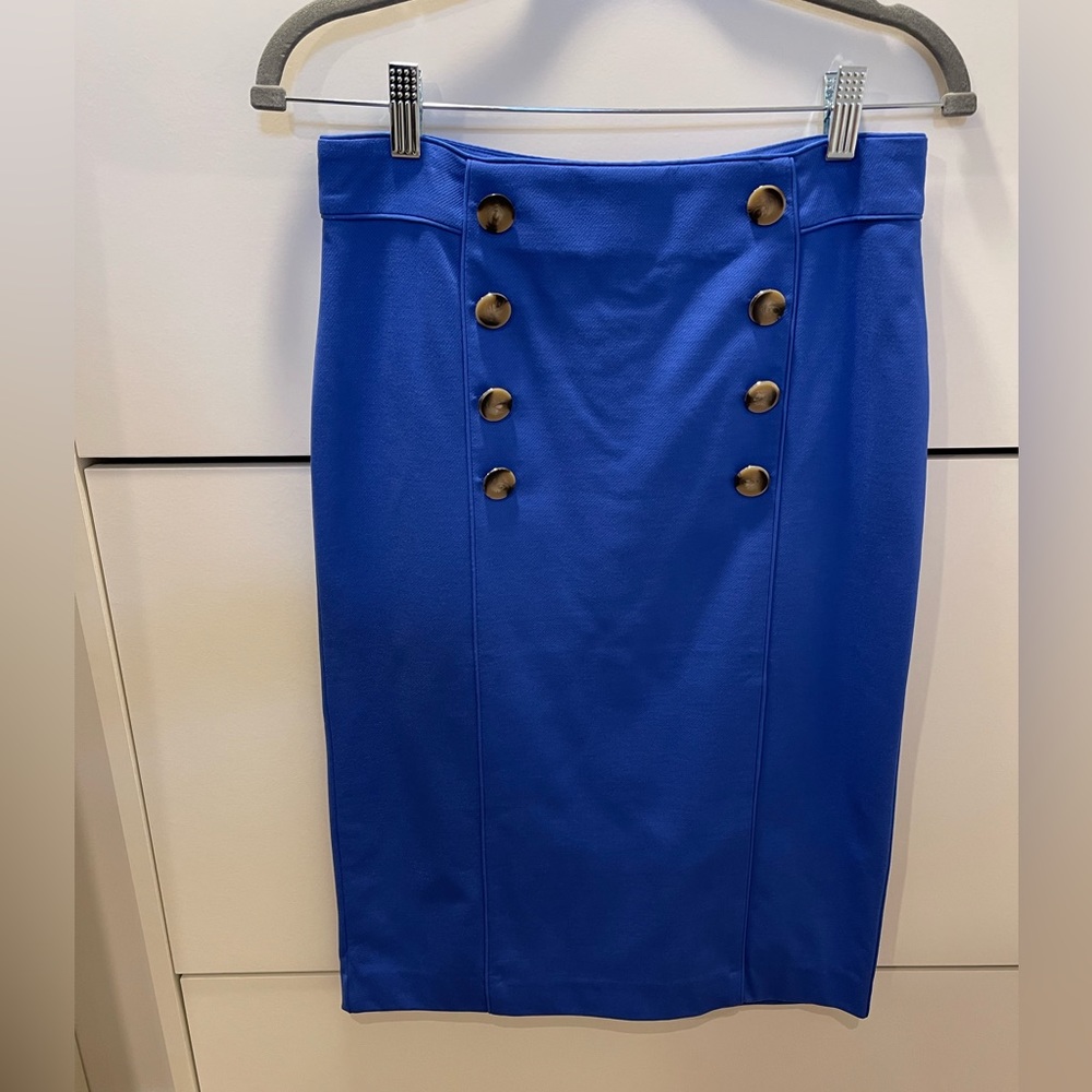 Ann Taylor skirt